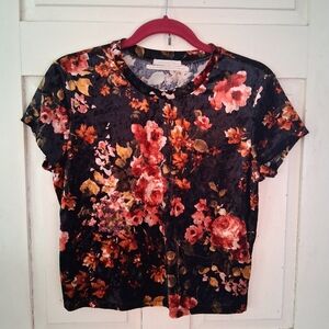 Urban Outfitters Multicolor Floral Crushed Velvet Cropped Tee Size Large